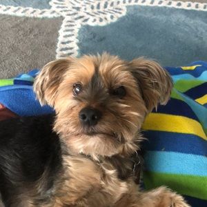 Meet your Posher, Janine